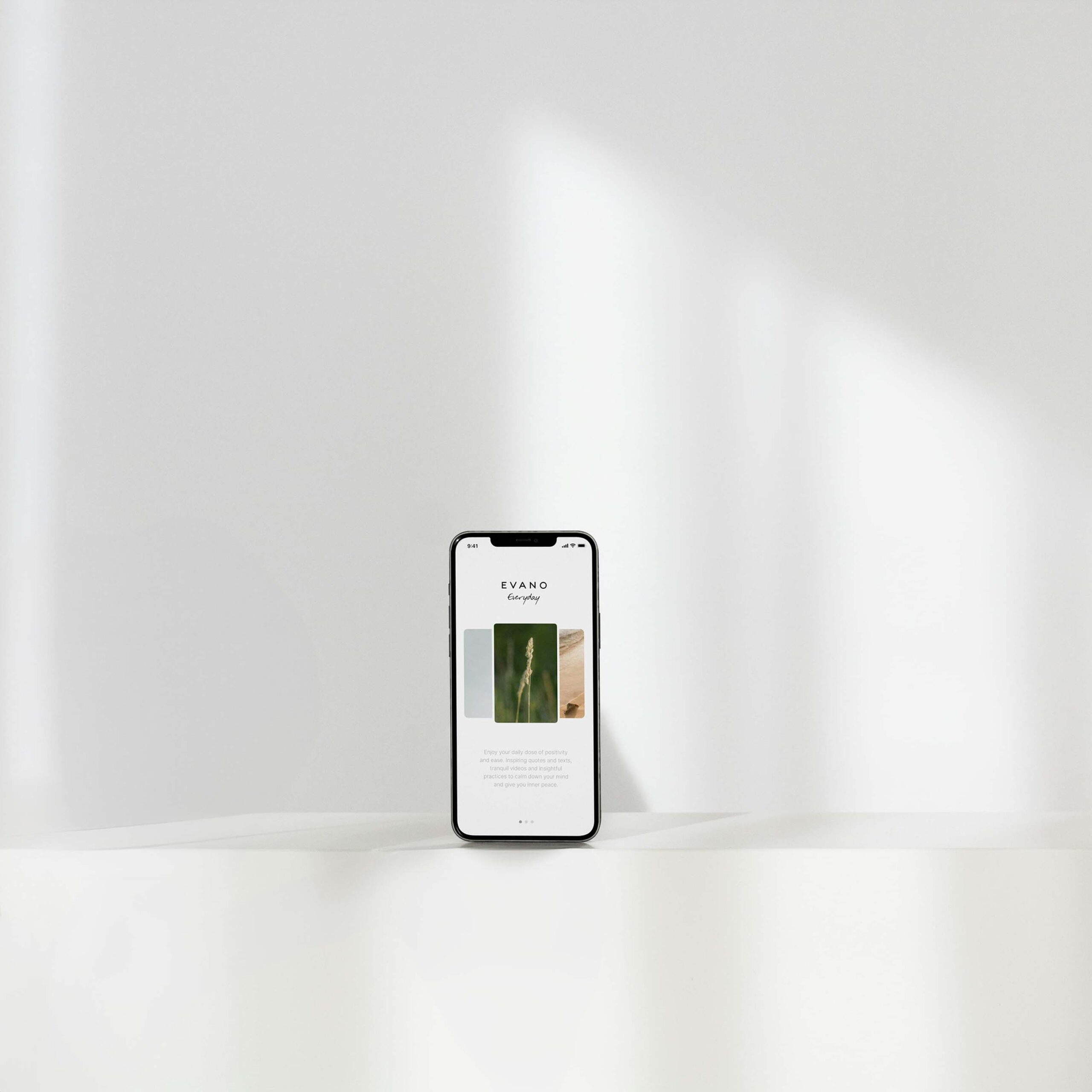 phone